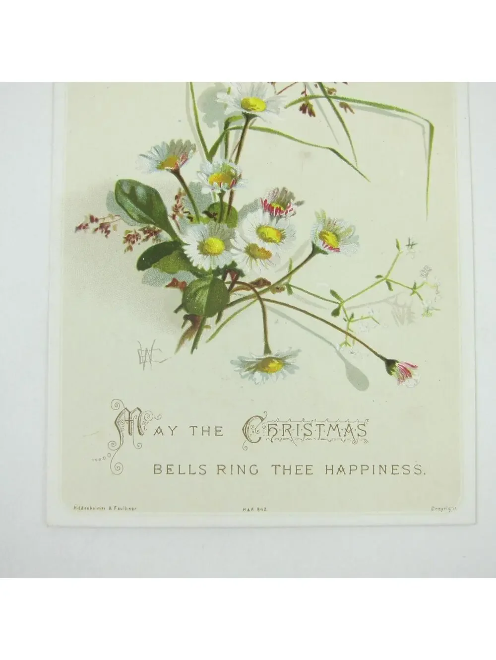 Victorian Christmas Card Hildesheimer & Faulkner White Daisy Flowers Antique